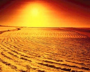 Orang Munafik pada Hari Kiamat